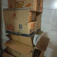 کارتن اسباب کشی