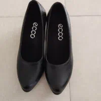 کفش مجلسی|کیف، کفش، کمربند|ملایر, |دیوار