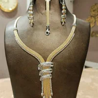 طراح سایت علاقه مند به شغل طلا