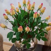 گل زیبا|گل مصنوعی|ارومیه, |دیوار