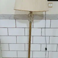 آباژور زیبا و سالم