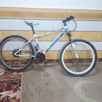 دوچرخه،حمیدیه