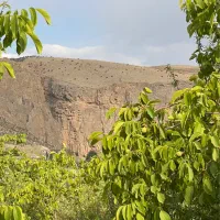 باغ-گردو-تنگبراق