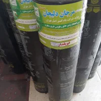 ایزوگام‌مرجان سبز دلیجان