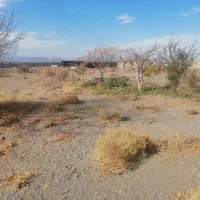 گاوداری|فروش دفتر صنعتی، کشاورزی، تجاری|زرند, |دیوار