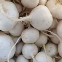 خشکبار فروشی تسبندی