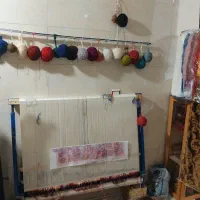 فرش زرنیم دست بافت|فرش|تبریز, |دیوار