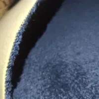 پالازموکت