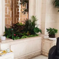طراحی و اجرای فضای سبز