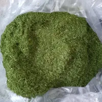 سبزی خورشتی رامهرمز|خوردنی و آشامیدنی|اصفهان, دانشگاه اصفهان|دیوار