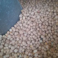 گردو کشمش و|عمدهفروشی|تنکابن, |دیوار