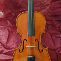 ویلن فوق العاده خوش صدا