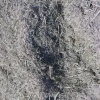 خوراک دام وشتر وغیره|عمده‌فروشی|سبزوار, قصبه غربی|دیوار