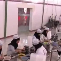 استخدام نیروی خانم برای کار در شرکت بسته‌بندی خرما