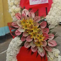 تاج گل|خدمات پذیرایی، مراسم|پرند, فاز ۶|دیوار