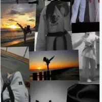 تکواندو حرفه ای/ استاد فیضی/بانوان