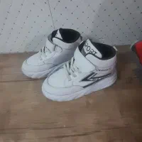 کفش و کتونی|کیف، کفش، کمربند|قم, ولیعصر|دیوار