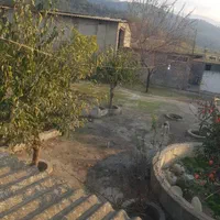 دامداری صنعتی|فروش دفتر صنعتی، کشاورزی، تجاری|گنبد کاووس, |دیوار