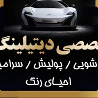 خدمات تخصصی دیتیلینگ خودرو آیرون