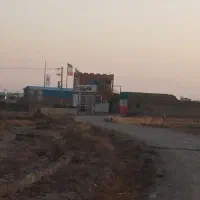 زمین حدود 550|فروش زمین و ملک کلنگی|نیشابور, مازول|دیوار