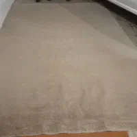 پالاس موکت