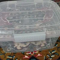 جانانی دوتانو.استندجاادویه