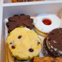 پک شیرینی 4مدل با قیمت استثنایی فقط 270 هزار تومن|خوردنی و آشامیدنی|اصفهان, خرم|دیوار