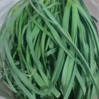 آجارتازه و پاک شده کیلویی 150