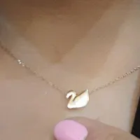گردنبند گم شده