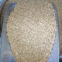 گندم کیسه ای53|لوازم جانبی حیوانات|قم, وادی السلام|دیوار