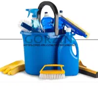 نظافت راپله