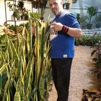 گل گیاه هدیه گلخانه روزمادر گلدان گلدون آپارتمانی