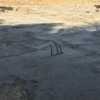 استخدام نیروی اجرایی جوان (با خودروی شخصی)