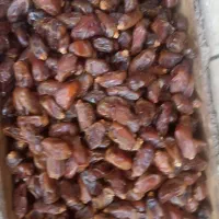 تمر سعمران و شکار