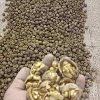 گردو بادام محلی