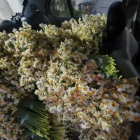 نیروی کار|استخدام بازاریابی و فروش|شیراز, شهرک مهدیه|دیوار