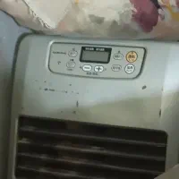 دو عدد بخاری ژاپنی نفتی برقی