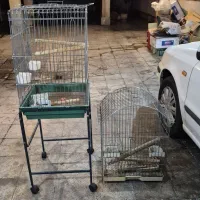 قفس کاسکو با ویلچر و بدون ویلچر