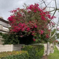 اجاره زیر زمین