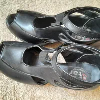 kafsh|کیف، کفش، کمربند|سنندج, |دیوار