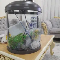 آکواریوم نو