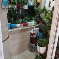 ۱۵۳مترخوش نقشه قیمت عالی در سعادت آباد