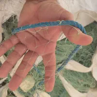 تور  رکاسی یا تور کف  13 طاقه 4یا 5بار رفته دریا|ماهیگیری|بندر کنگان, |دیوار
