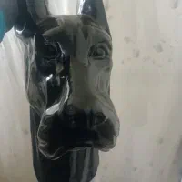 کله سگ دکوری|مجسمه، تندیس، ماکت|خرمدره, |دیوار
