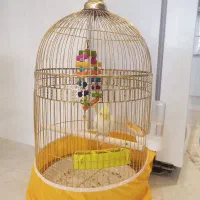 عروس هلندی دستی با قفس