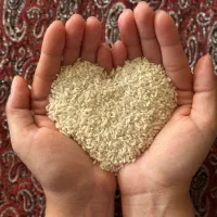 برنج سر لاشه هاشمی فوق اعلا (ملکی) مجداا شارژ شد