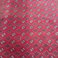 1عدد قالیچه