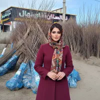 فروش نهال گردو فرنوردر مشهد۱۰٪ رایگان ضمانت کتبی