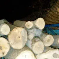 خرید وفروش چوب وقطع درختان و...