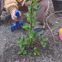 زمین مسکونی